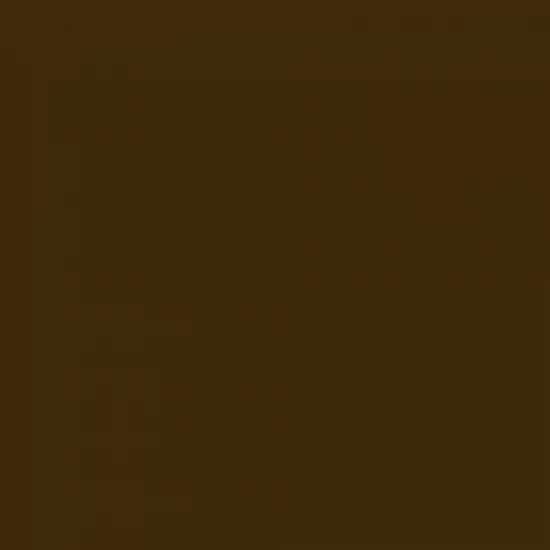 Acrylic Paint Mini XF-10 Flat Brown (10ml)
