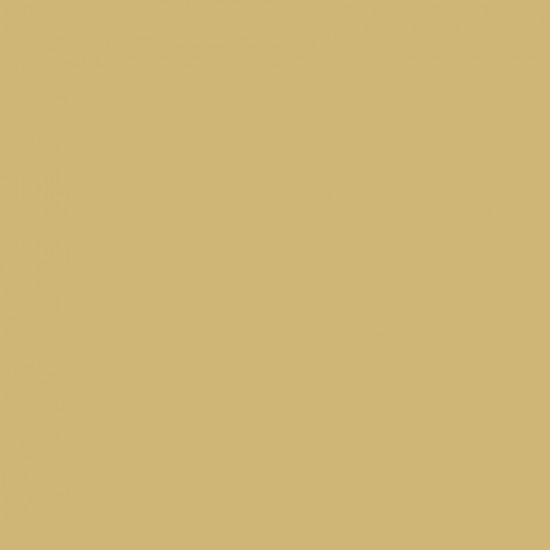 Solvent-Based Acrylic Paint - FS 33446 Tan Camouflage (30ml)