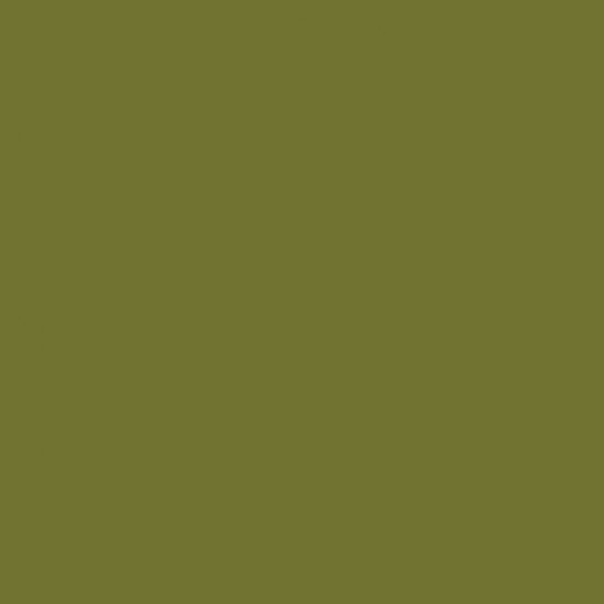 Solvent-Based Acrylic Paint - Metallic Lime Green Tintcoat