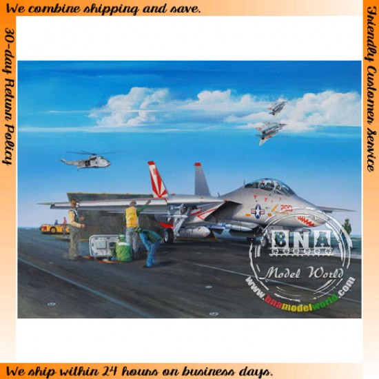 1/32 F-14A Tomcat