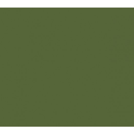 Model Colour Acrylic Paint - Luftwaffe Camouflage Green 17ml