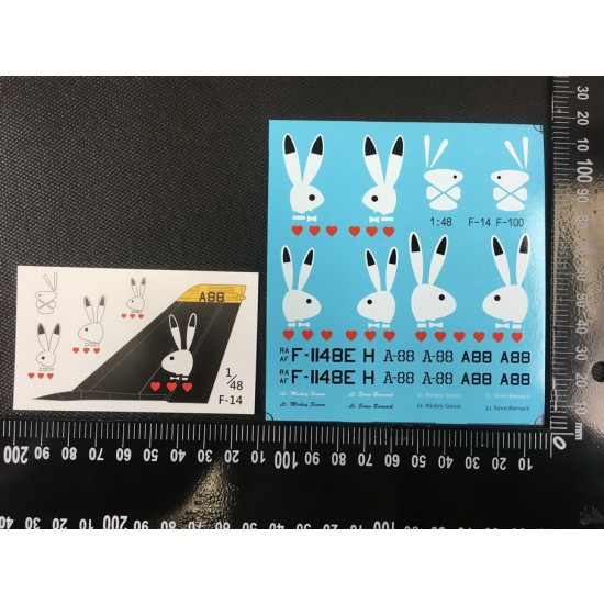 1/48 Grumman F-14 Tomcat Lt. Mickey Simon special livery Decal 