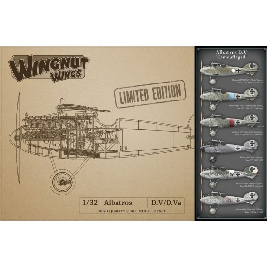 1/32 WWI Albatros D.V "Camouflaged"
