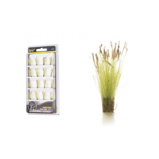 The Field System - Brown Tipped Prairie Grass (20pcs)