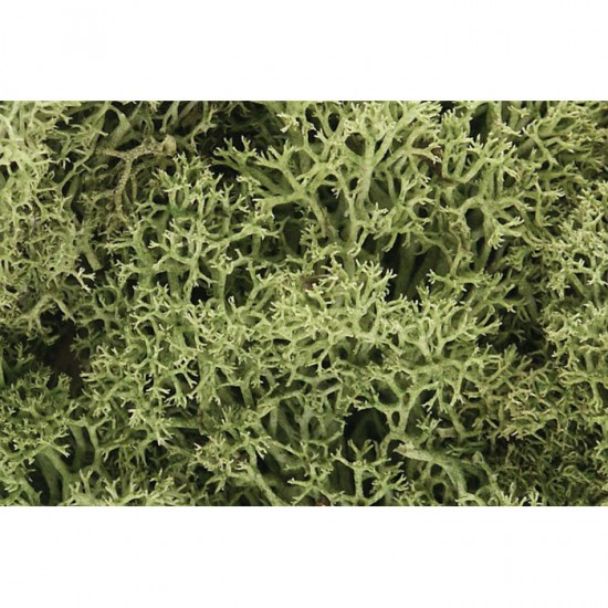 Ground Cover - Lichen #Spring Green (coverage area = 86.6 in3 / 1410cm3)