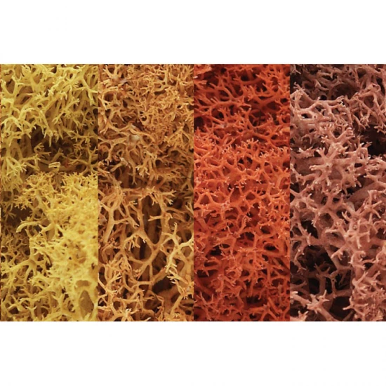 Ground Cover - Lichen #Autumn Mix (coverage area = 86.6 in3 / 1410cm3)