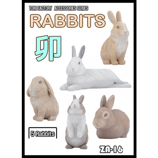 1/24 Rabbits (5pcs)