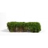 1/35 75mm 90mm Scale Spring Green Shrubberies (bush)