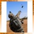 1/35 US Army ACH/MICH Helmet with Cover Vol.5 1/35 US Army ACH/MICH Helmet with Cover Vol.5