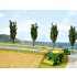Natur+ Cornfield (220 x 200 mm, 10 grass tufts)