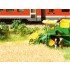 Natur+ Cornfield (220 x 200 mm, 10 grass tufts)