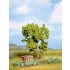 HO,TT,N Scale Pear Tree (green, 115mm high)