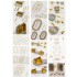 1/200 HMS Rodney Battleship Super Detail Set for Trumpeter #03709 1/200 HMS Rodney Battleship Super Detail Set for Trumpeter #03709