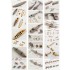 1/200 HMS Rodney Battleship Super Detail Set for Trumpeter #03709 1/200 HMS Rodney Battleship Super Detail Set for Trumpeter #03709