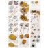 1/200 HMS Rodney Battleship Super Detail Set for Trumpeter #03709 1/200 HMS Rodney Battleship Super Detail Set for Trumpeter #03709