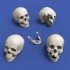 90mm Scale Skulls (4pcs)