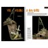 Dioramag Vol.17 - We found a Big Bird (96 pages)