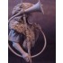 1/12 Roman Trumpeter (rein bust)