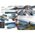 Damaged Magazine Issue No. 11 - Worn and Weathered Models (English, 72 pages)