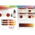 How to Work with Colours and Transitions (English, 88 pages)