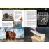 AK Learning Vol.14 Painting Animal Figures (English, 88 pages, Soft cover)