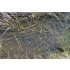 Diorama Series Acrylic Crystalline Self-Levelling Liquid - Clear Still Water (250ml)