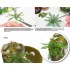 Realistic Leaves - Jungle Plants Set (laser-cut)