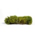 1/35 75mm 90mm Scale Blomming Yellow Shrubberies (bush)