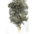 1/35 Black-White Fantasy Bushes