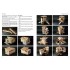 Scale Model Handbook: Diorama Modelling Vol.03 (English, 100 pages)