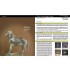 Scale Model Handbook: Figure Modelling Vol.01 (52pages)