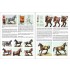 Scale Model Handbook: Figure Modelling Vol.18 (52pages)