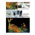 Scale Modelling Manual Vol.18 - Mastering Fantasy Dioramas (20 pages)