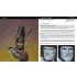 Scale Model Handbook: Theme Collection Vol.03 (84 pages)