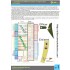 1/35 WWII US ARMY Insignia Decal set