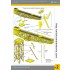 1/700 IJN 150ton Giant Cantilever Crane (Nagasaki)
