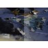 Third World War, The World In Crisis (English, 200 pages)