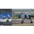 Aircraft in Detail: Dassault Mirage F1 (English)