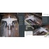 Aircraft in Detail: BAE Systems Harrier II & Boeing AV-8B Harrier II (English)