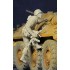 1/35 Russian Spetsnaz FSB Officer No.17 (1 figure)
