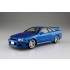 1/24 Hosino Kozo BNR34 Skyline GT-R