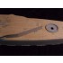 1/350 HMS Tiger Battle Cruiser 1914 Wooden Deck for Combrig kit 3534FH,3534WL