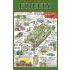 1/35 British Sherman 5C FIREFLY with Cast Cheek-armour Turret