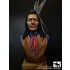 1/10 Sioux Dakota Bust