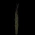 1/48 Grass Tufts Set