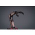 Pirate Captain Queen Anne (Assembled Action Figures) Height: 170mm