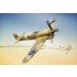 1/72 Typhoon Mk Ib Car Doors-Desert and Luftwaffe Trials