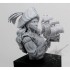 1/12 "Sail Away" Bust (68mm tall approx)