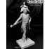 120mm Drum Major Imperial Guard