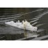 1/200 Z-Class Destroyer Z43 Warship (Static RC compatibility)